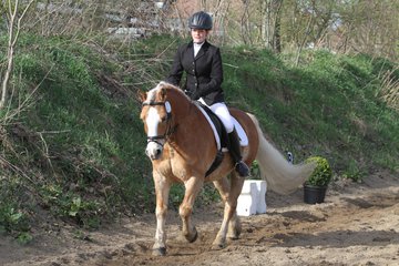 Bild 1426 - WBO-Turnier am 9.4.11